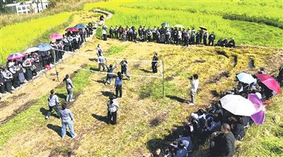 气排球比赛走进乡村|拉欧村|黔南日报|戴友维|荔波县融媒体中心|黔南布依族苗族自治州_新浪体育_新浪新闻